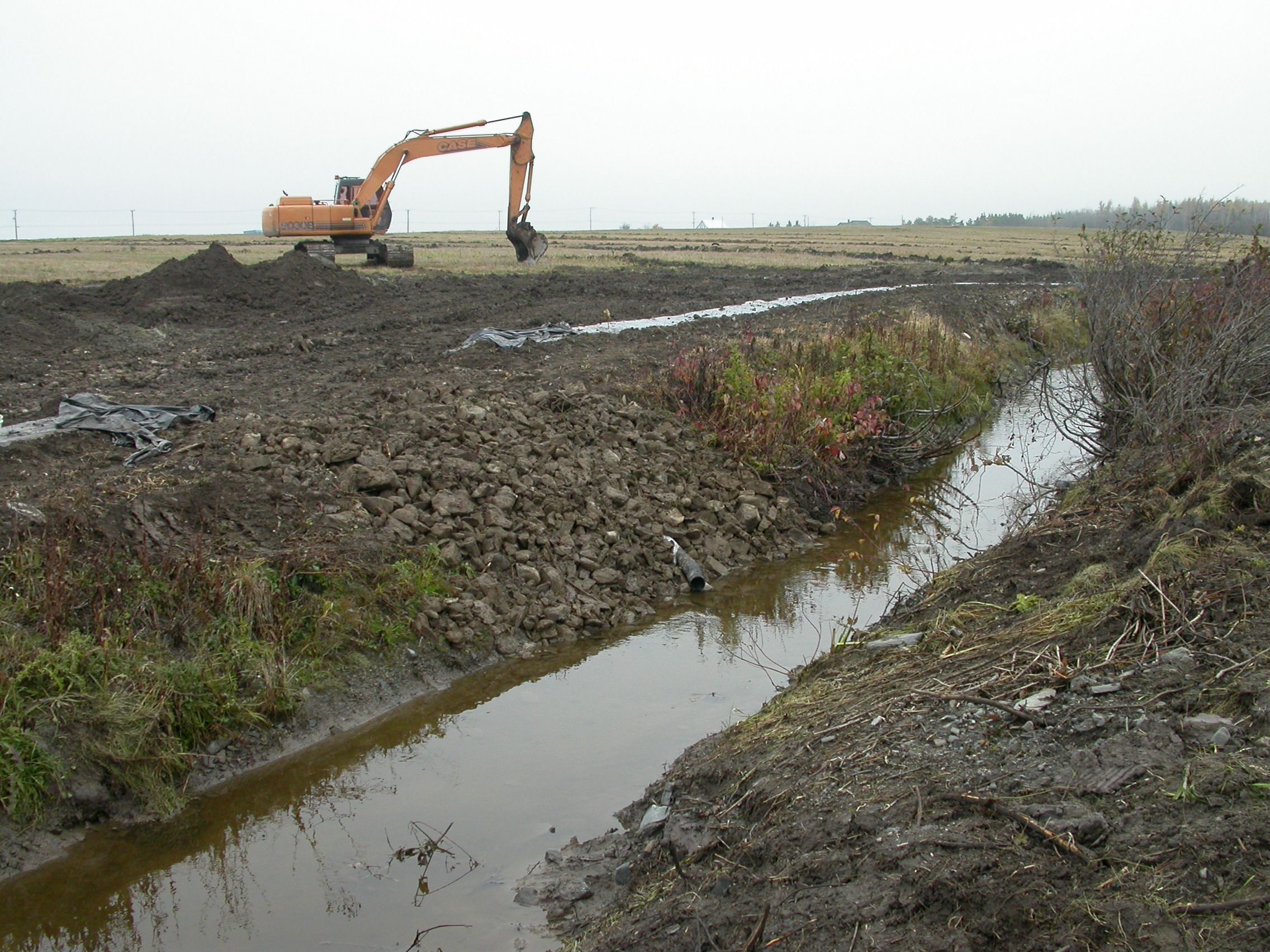 Réaménagement récent d'un cours d'eau en milieu agricole