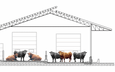  Bâtiment d'engraissement pour bovins de boucherie avec mangeoire extérieure couverte