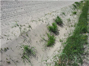 Sécheresse et excès d’eau : Comment gérer le sol en climat futur? 