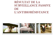 Résultat de la surveillance passive de l'antibiorésistance
