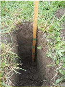 Augmenter la matière organique du sol