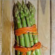 Physiologie et stades critiques de l'asperge : l'importance d'intervenir au bon moment