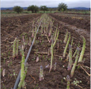 Nouveautés techniques pour une bonne régie de production