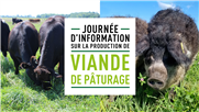 Présentations de la Journée d'information sur la production de viande de pâturage du 14 novembre 2019