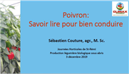 Poivron: Savoir lire pour bien conduire