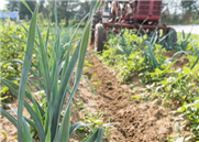 Les femmes en agriculture -  Cultiver les possibles