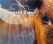 Principes de génomique en production bovine