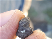 Guide des bonnes pratiques visant une utilisation raisonnée du chlorpyrifos dans les crucifères