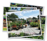 L'agriculture urbaine - Guide des bonnes pratiques sur la planification territoriale et le développement durable