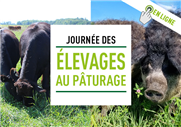 Ruminants bio au pâturage : Comment vivre avec les parasites internes?