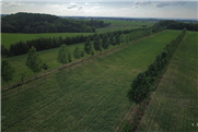 Impact des systèmes agroforestiers sur la stabilité du rendement du maïs et du soya face à une réduction des précipitations
