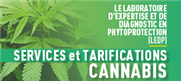 Services et tarification pour les échantillons issus de la culture du cannabis