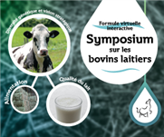 Donner aux veaux une longueur d'avance : analyser grâce à l'intelligence artificielle l'effet des conditions à la naissance sur la longévité des génisses Holstein
