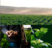 RAPPORT D’AVANCEMENT DE L’ACCÉLÉRATEUR - Programme de recherche du CRPTQ