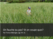 On fauche ou pas?  Et on coupe quand?