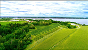 Vigne et vignobles au Saguenay–Lac-Saint-Jean : étude géographique