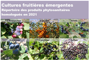 Cultures fruitières émergentes - Répertoire des produits phytosanitaires homologués en 2021