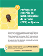 Avis de vigilance - Petit coléoptère de la ruche (PCR) - 20 septembre 2021