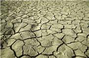 L’Aperçu des sécheresses - Premier outil du genre au Canada à fournir un aperçu sur 30 jours des conditions de sécheresse