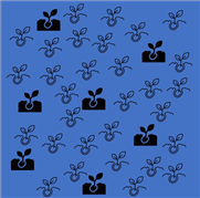 Pourquoi diminuer le taux de semis des plantes fourragères?