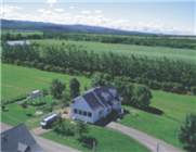 Des haies brise-vent autour des bâtiments d'élevage et des cours