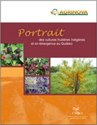 Portrait des cultures fruitières indigènes et en émergence au Québec