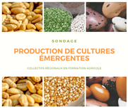 Besoins de formation sur la production de cultures émergentes (céréales et protéines végétales) 