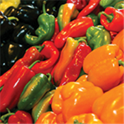 Solanacées, Avertissement No 2, 9 juin 2022