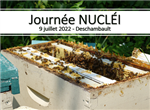 Journée NUCLÉI : Stratégies de renouvellement du cheptel apicole - maillage et information