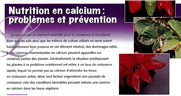 Nutrition en calcium: problèmes et prévention