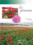 Le géranium