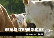 Indexation 2021 - Coût de production Veaux d'embouche