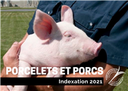 Indexation 2021 - Coût de production Porcs et Porcelets