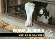 Outil de comparaison - Coût de production Veaux de Grains