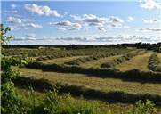 Avoir trop de foin, un véritable casse-tête en 2022