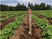 Résultats du projet "Améliorer l'efficacité de l'utilisation de l'eau dans la pomme de terre par une connaissance plus approfondie des cultivars"