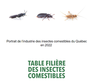Portrait de l’industrie des insectes comestibles du Québec en 2022
