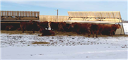 Guide des aménagements alternatifs en production bovine (2023)