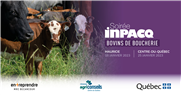 Conférences des soirées INPACQ bovins de boucherie 2023