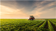 Guide d'identification : permis et certificats pour les pesticides
