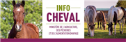Info-Cheval