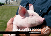 Indexation 2022 - Porcelets et Porcs 
