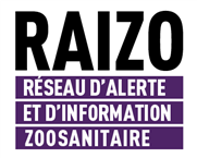 RAIZO - Bilan 2011 des activités du RAIZO