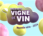 Webinaire Vigne et vin - 2024 (3/4)
