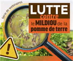 Série webinaires : lutte contre le mildiou de la pomme de terre