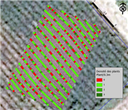 Fin du projet "Gestion intégrée de la culture de pommes de terre à l'aide de la télédétection par drone : Fertilisation azotée, irrigation et mauvaises herbes"