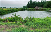 Comment construire un étang? Ce qu'il faut savoir sur l'aménagement d'un étang d'irrigation excavé