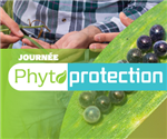 Journée phytoprotection 2024