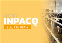 Tout sur la nouvelle méthode de classement des carcasses de veaux de grain! 