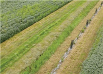 Fiche 2 : Repères économiques pour la cogestion des zones tampons